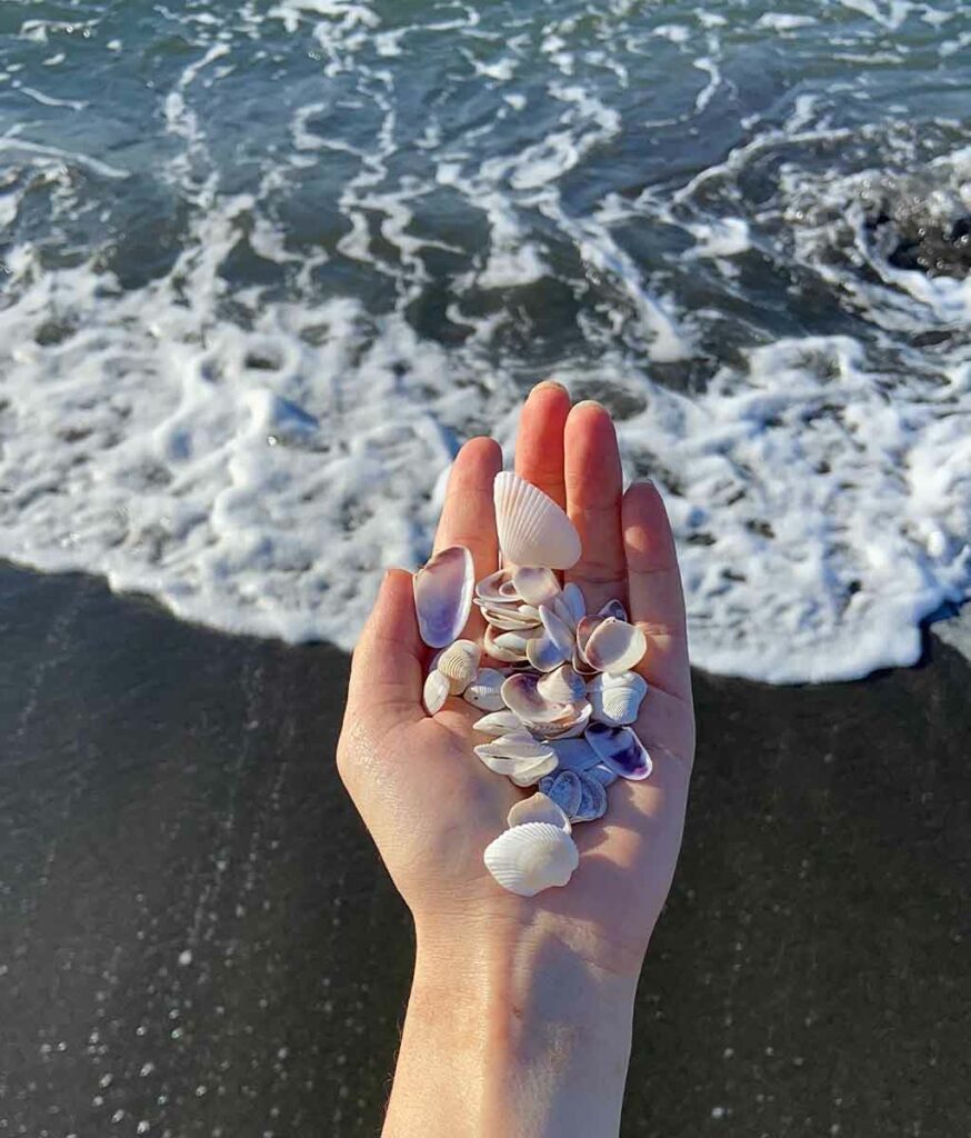 Coquillages tenus au creux de la paume d'une main devant une vague sur la plage